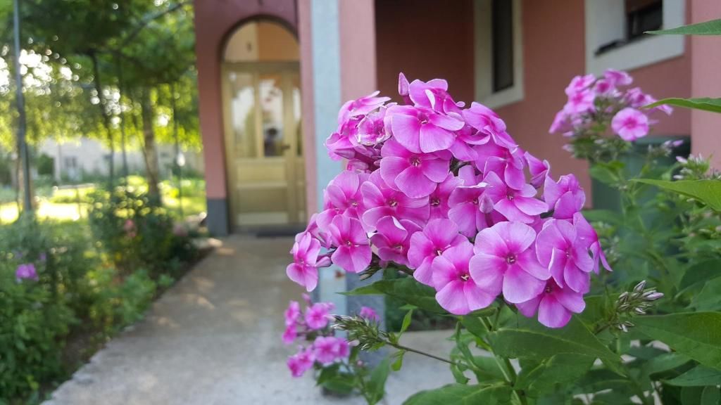 Апартаменты Apartman Miljanić Nikšić Никшич-26