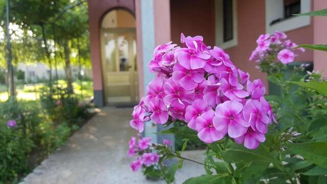 Апартаменты Apartman Miljanić Nikšić Никшич-25